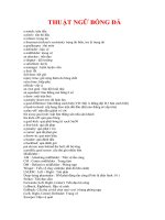 Thuật ngữ bóng đá trong tiếng anh