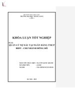 Quản lý nợ xấu tại ngân hàng TMCP BIDV   chi nhánh đông đô 