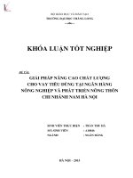 Giải pháp nâng cao chất lượng cho vay tiêu dùng tại ngân hàng nông nghiệp và phát triển nông thôn chi nhánh nam hà nội 