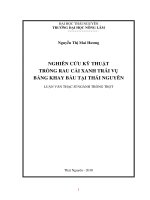 Nghiên Cứu Kỹ Thuật Trổng Rau Cải Xanh Trái Vụ Bằng Khay Bầu Tại Thái Nguyên