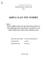Hoàn thiện kế toán bán hàng và xác định kết quả bán hàng tại công ty cổ phần thiết bị và hóa chất thăng long 