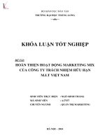 Hoàn thiện hệ thống marketing mix tại công ty TNHH m i t việt nam 