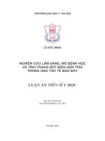 Nghiên cứu lâm sàng, mô bệnh học và tình trạng đột biến gen TP53 trong ung thư tế bào đáy (FULL TEXT)