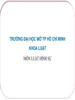 khái niệm và  các nguyên tắc luật hình sự