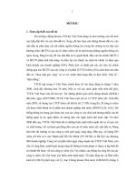 Tiểu luận hoàn thiện hệ thống báo cáo thường niên trong các công ty cổ phần niêm yết trên thị trường chứng khoán việt nam 