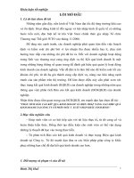 PHÂN TÍCH báo cáo kết QUẢ KINH DOANH và BIỆN PHÁP NÂNG CAO HIỆU QUẢ KINH DOANH tại CÔNG TY cổ PHẦN đầu tư  XUẤT NHẬP KHẨU NINH BÌNH 