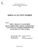 Thực trạng và giải pháp hoàn thiện hoạt động marketing tại công ty cổ phần kinh doanh gạch ốp lát viglacera 