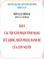 CÁC tội xâm PHẠM TÍNH MẠNG sức khỏe con người