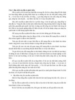 tiểu luận kinh tế đầu tư  cao học