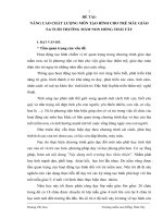 NÂNG CAO CHẤT LƯỢNG MÔN TẠO HÌNH CHO TRẺ MẪU GIÁO 5-6 TUỔI TRƯỜNG MẦM NON HỒNG THÁI TÂY