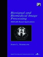 Biosignal and biomedical imaging processing (Xử lý hình ảnh Y sinh)