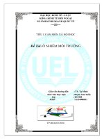 bài tiểu luận xã hội học  về ô nhiễm môi trường hay