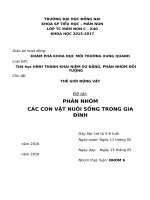 giáo án môn pp làm quen môi trường xung quanh