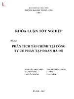 Phân tích tài chính tại công ty cổ phần tập đoàn hà đô 