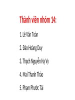 Thuyet trinh mac nhom 14