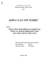 Phân tích tình hình tài chính tại công ty TNHH may mặc excel việt nam 