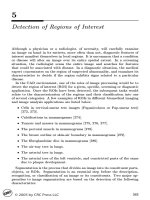 Bản chất của hình ảnh y sinh học (Phần 5)