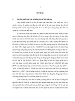 Tiểu luận tác động của biến đổi cơ cấu tuổi dân số đến tăng trưởng kinh tế ở việt nam 