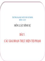 các giai đoạn thực hiện tội phạm