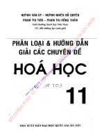 PHÂN LOẠI  HƯỚNG dẫn GIẢI các CHUYÊN đề hóa học11   HUỲNH văn út