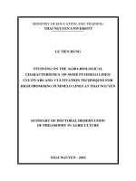 Study on the agro biological characteristics of some pummelo lines cultivars and cultivation techniques for high promising pummelo lines at thai nguyen
