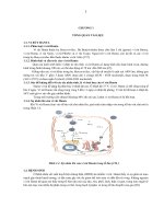 Nghiên cứu đặc điểm nhiễm virus hanta và một số yếu tố liên quan tại cảng hải phòng trong năm 2003 2005