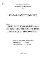 Giải pháp nâng cao hiệu quả sử dụng vốn tại công ty TNHH nhựa và bao bì dương anh 