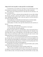 tiểu luận kinh tế đầu tư  cao học