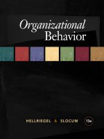 Organization behavior   don hellriegel  john w  slocum, jr  13th
