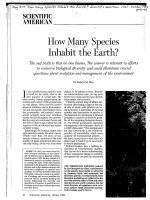 How many species inhabit the Earth