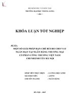 Một số giải pháp nâng hạn chế ro cho vay ngắn hạn tại ngân hàng thương mại cổ phần công thương việt nam chi nhánh tây hà nội 