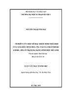 Nghiên cứu một số đặc điểm sinh thái học của loài râu hùm hoa tía (tacca chantrieri andre, 1901) ở trạm đa dạng sinh học mê linh
