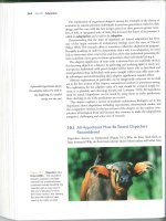 All hypotheses must be tested oxpeckers reconsidered