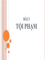 bài 3 tội phạm HỌC