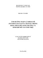 Ảnh hưởng ngọn lá khoai mì trong khẩu phần đến sinh trưởng và sinh khí mê tan ở bò thịt