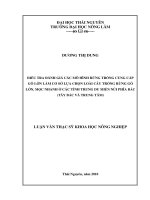 Điều Tra Đánh Giá Các Mô Hình Rừng Trồng Cung Cấp Gỗ Lớn Làm Cơ Sở Lựa Chọn Loài Cây Trồng Rừng Gỗ Lớn, Mọc Nhanh Ở Các Tỉnh Trung Du Miền Núi Phía Bắc (Tây Bắc Và Trung Tâm)