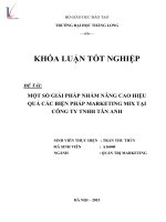 Một số giải pháp nhằm nâng cao hiệu quả các biện pháp marketing mix tại công ty TNHH tân anh 