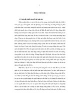 Tiểu luận hiệu quả dự án đầu tư bằng vốn ngân sách nhà nước trên địa bàn tỉnh bắc giang 