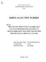 Một số giải pháp nâng cao hiệu quả sản xuất kinh doanh tại công ty trách nhiệm hữu hạn một thành viên thương mại và dịch vụ cao trụ 