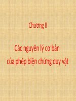 Nguyên lý về sự phát triển 2