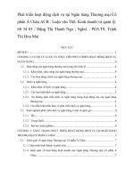 Phát triển hoạt động dịch vụ tại Ngân hàng Thương mại Cổ phần Á Châu ACB