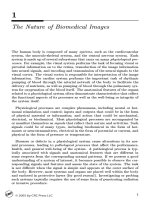 Bản chất của hình ảnh y sinh học (Phần 1)