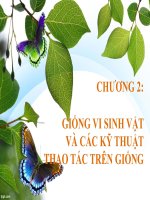Giống vi sinh vật và các kỹ thuật thao tác trên giống