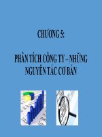 Phân tích công ty những nguyên tắc cơ bản