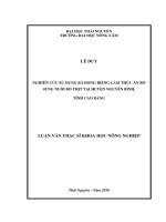 Nghiên Cứu Sử Dụng Bã Dong Riềng Làm Thức Ăn Bổ Sung Nuôi Bò Thịt Tại Huyện Nguyên Bình, Tỉnh Cao Bằng