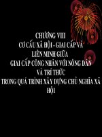 Chủ nghĩa xã hội khoa học - bai chieu chuong 8