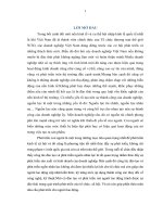 Hoàn thiện công tác đào tạo, phát triển nguồn nhân lực tại công ty than nam mẫu 