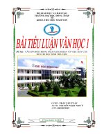 bài tiểu luận văn học 1 câu đố và câu đố mới trong sách giáo khoa tiếng việt ở tiểu học