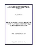 Lao động nhập cư và vai trò của nó đối với phát triển nguồn nhân lực ở thành phố hồ chí minh