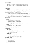 giáo án sinh học 6 bài 45  nguồn gốc của cây trồng